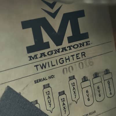 Magnatone Twilighter Head with Custom Benson 1x12 Cab and Custom NEO-WHIZZER Unit - Owned By Buck Meek (Big Thief) image 9