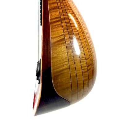 Gelas Type Double-Top ConcertMandolin (J. Rowies Label) 1927 image 8