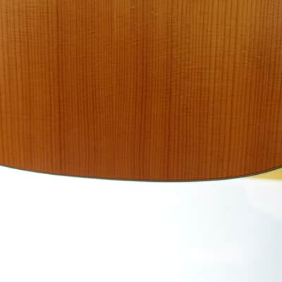 Taylor 150e 2014 - Present - Natural image 3