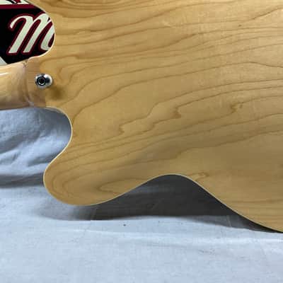 Epiphone Dot Semi-Hollow Body Electric Guitar image 14