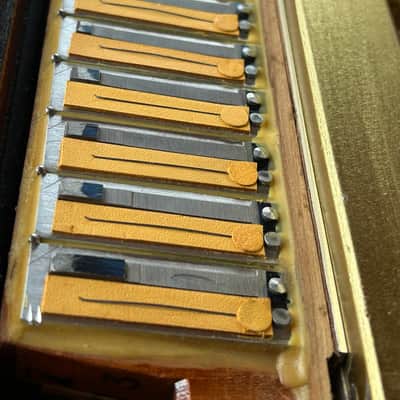 Iorio Accordion Double chamber image 13