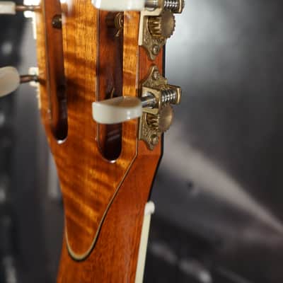 2009 Taylor XXXV-TF 35th Anniversary Grand Concert Koa/Engelmann image 14