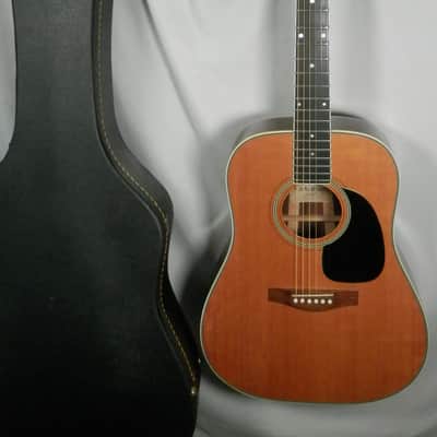A LoPrinzi LR-20 Dreadnought Acoustic Guitar with case used image 1
