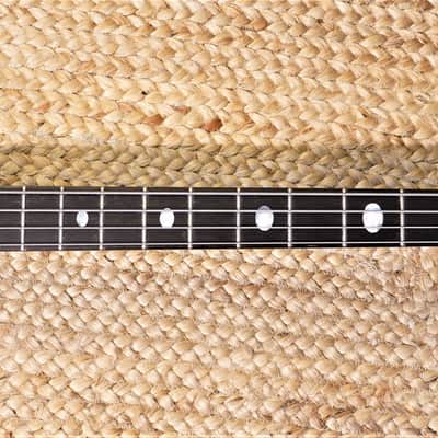 John Entwistle 1977 Alembic Series I "Baby Bass" image 12