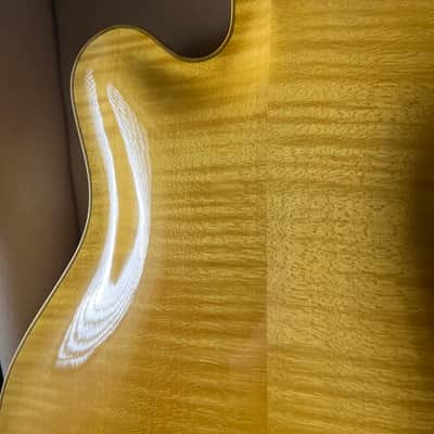 Bozo Podunavac 17" Acoustic Archtop with Calton Case image 22