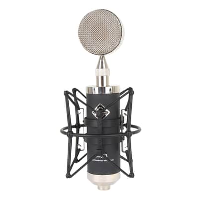 Alctron BV563  Multi-pattern, Multi-capsule tube Condenser Microphone, case, shockmount, transformer output image 8