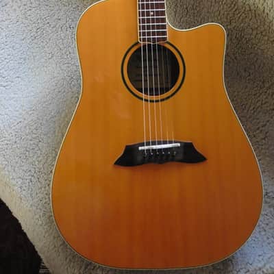 Low Action Vintage Kimbara Electro Acoustic image 3