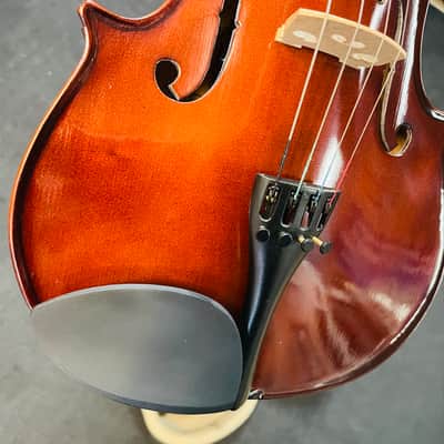 Palatino 15” Viola VA350 image 6