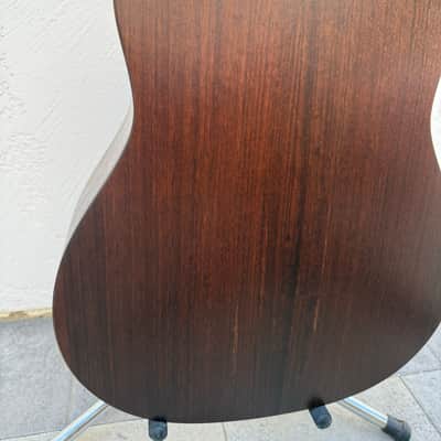 Taylor AD17 2021 - Matte image 21