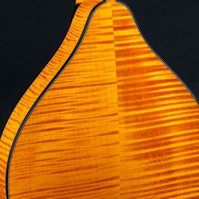 Collings MT2 Honey Amber Adirondack Spruce and Flamed Maple Mandolin NEW image 17