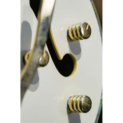 2009 Peerless Gigmaster Custom white image 10