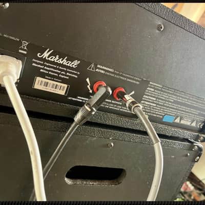 Marshall Zakk wylde Mg head image 2