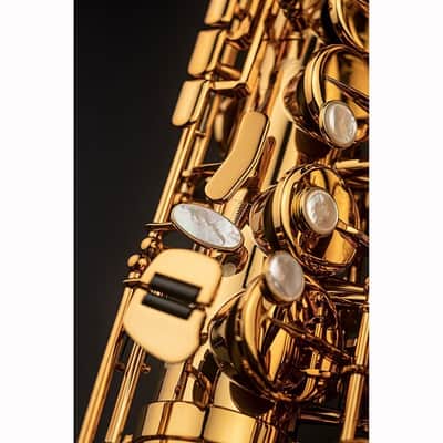 Selmer Paris Alto Sax Selmer Signature Signature DARK SL (Dark Signature Lacquer) [Shipped after adjustment & setup] [Free key balance adjustment for 5 years] image 7