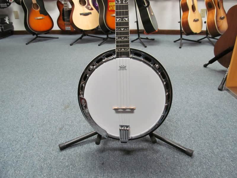 Washburn Americana B16 5-string Resonator Banjo - Tobacco Sunburst with Hard Case image 1
