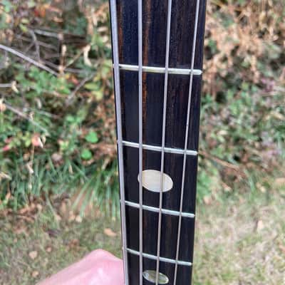 Alembic Series 1 1975 - Natural image 20