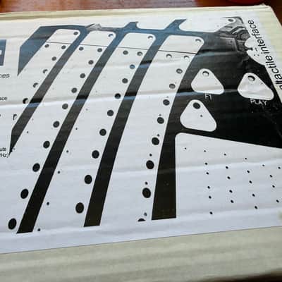 Soundmachines Arches 2019-Present  - Black/White image 15