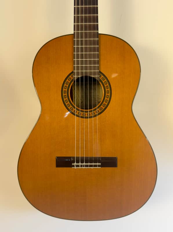 Cuong Classical Guitar 2002 w Barbera Pickup image 1