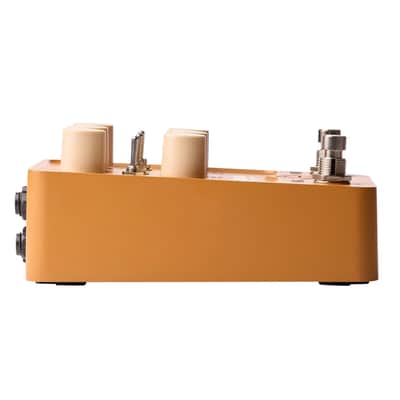 Universal Audio Enigmatic '82 Overdrive Special Amp 2024 - Present - Gold image 4