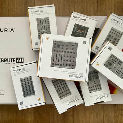 Behringer System 100 and Brains in Rackbrute Case image 2