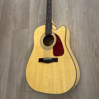 Fender Acoustic Electric DG-22 image 3