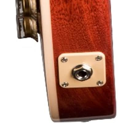 Gibson Les Paul Standard ‘60s Electric Guitar - Bourbon Burst image 2