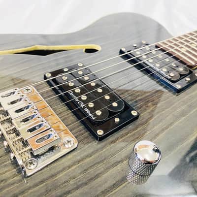 Greg Bennett STA-400SH Telecaster Thinline Type image 4