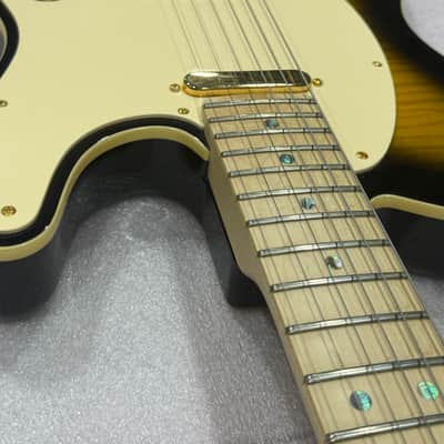 Richie Kotzen Fender Telecaster image 9