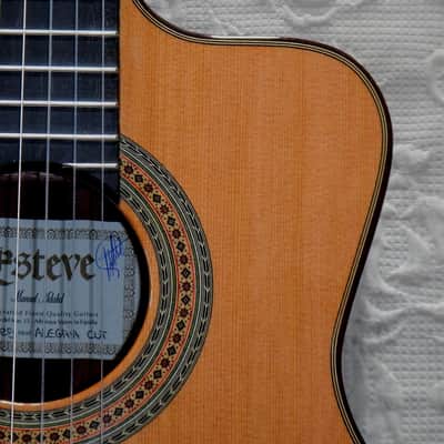Esteve Alegria crossover cutaway / lattice braced / cedar top/48 mm nut width image 1