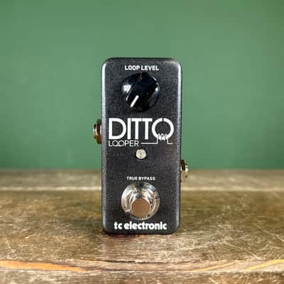 TC Electronic Ditto Looper 2013 - Present - Black image 2