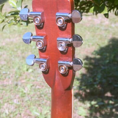 1978 Yairi  YW-600 Coral Rosewood(New Jacaranda ) Body Natural Bargain image 9