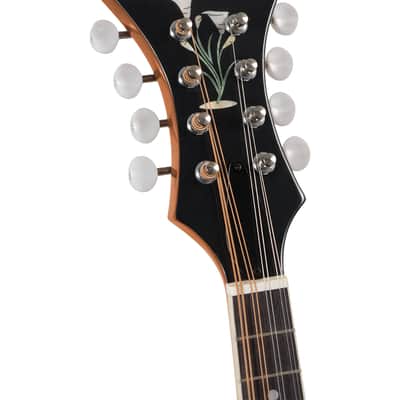 Rover RM-70S Deluxe A-Model Mandolin – Solid Top – Translucent Amber image 3