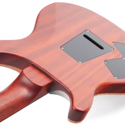 PRS Modern Eagle V Wood Library Satin Ten Top Burnt Maple Leaf 2024 image 9