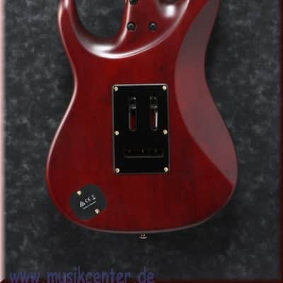 Immagine Ibanez SLM10-TRM Scott LePage - 2