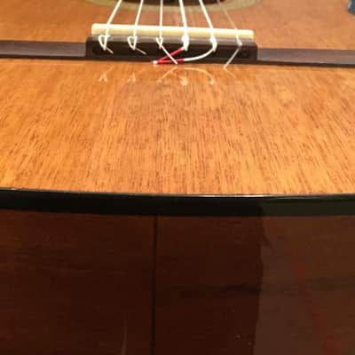 Samick Abilene AC-15 G-1 Full-size Classical Guitar with Truss Rod image 3