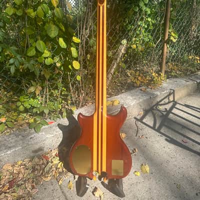 Custom Alembic Fretless 5 String Omega Heart w/LEDs image 5
