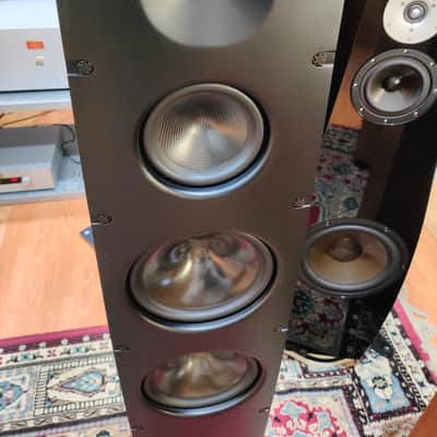 SCANSONIC BY RAIDHO Q10 image 7