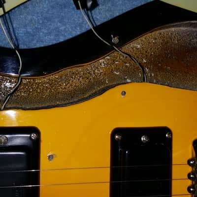 Mosrite Ventures image 7