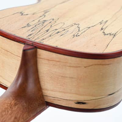 Cordoba 24T Tenor Spruce Ukuele image 9