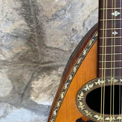 Antique Italian Neapolitan Bowl-Back Mandolin - Ozelli - Late 19th / Early 20th Century with case image 6