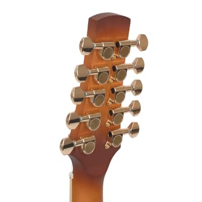 Gold Tone F-10 10-String F-Style Mandolin with Pickup and Case image 8