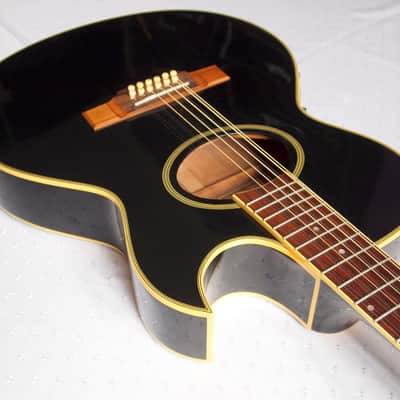Washburn EA 20 MB-12 1995 Black | Reverb