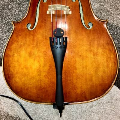 Maciej Lacek Cello Nowy Targ, Poland 2014 image 9