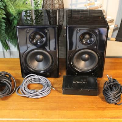Unison I-X5 2-Way Bi-Amp Powered Speakers - Hand Built Tuned Enclosures image 11