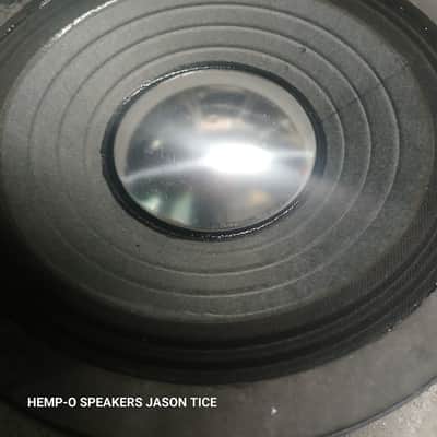 8" 16 OHM SPEAKERS 2 AVAILABLE DB DRIVE G2 *READ THE DESCRIPTION* AMPEG KUSTOM FENDER CRATE ROLAND 16 OHMS POWERHOUSES! PMR SPEAKERS HOT-RODDED image 10