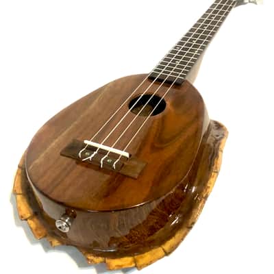 Turtle Shell Tenor Ukulele image 3