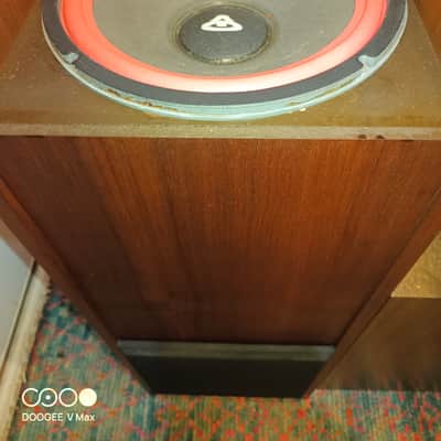 Cervin Vega 12TR 1970 - Oiled walnut image 16