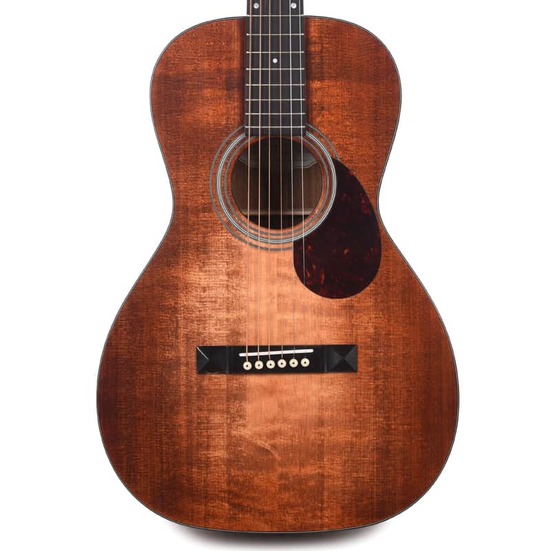 Immagine Eastman E1P-DLX LTD Bluesmaster Parlor - 6