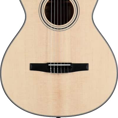 Taylor 312ce-N Grand Concert Classical Acoustic-Electric Guitar (with Case) image 2
