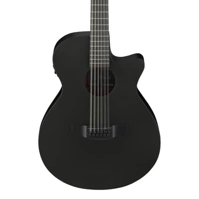 Ibanez AEG1221-BOT 12-String Electro-Acoustic Guitar, Black Out image 1
