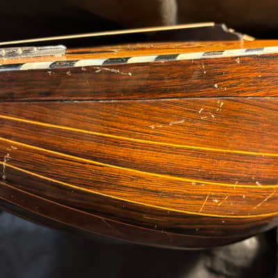 American Conservatory Lyon & Healy Bowl Back Mandolin - Early 1900s - Brazilian Rosewood - Great Player - Ship FREE!!! image 13